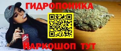 гидра Будённовск