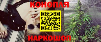 гидра Будённовск