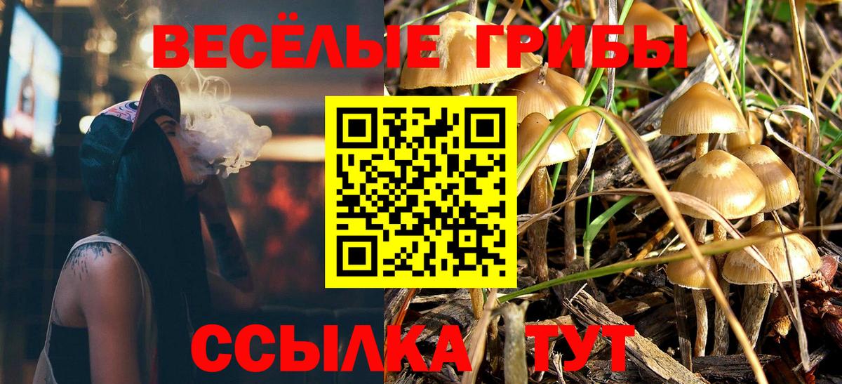 Псилоцибиновые грибы MAGIC MUSHROOMS Узловая