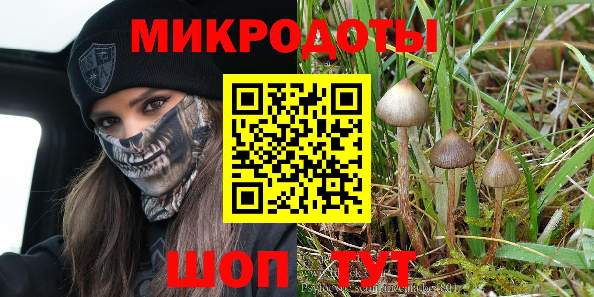 Узловая  Псилоцибиновые грибы ЛСД  Вход с VPN  Псилоцибиновые грибы ЛСД 